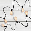 Northlight 10 Count Clear Edison Glass Patio Lights  9ft Black Wire Image 1