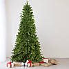 Northlight 10' Pre-Lit Everett Pine Slim Artificial Christmas Tree  Clear Lights Image 1