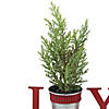 Northlight 10" Red "JOY" Potted Faux Pine in Metal Planter Christmas Tabletop Plaque Image 4