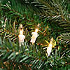 Northlight 100-Count Clear Mini Christmas Light Set  20.25ft White Wire Image 1