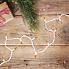 Northlight 100-Count Orange LED Mini Christmas Lights 4" Spacing - White Wire Image 1