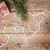 Northlight 100-Count Red and Pure White LED Mini Christmas Lights  33ft White Wire Image 1