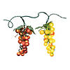 Northlight 100-Count Yellow and Red Grape Clusters Christmas Light - 5ft Green Wire Image 2