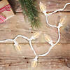 Northlight 100 Warm White LED C9 Commercial Length Christmas Lights - 41 ft White Wire Image 1