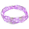 Northlight 100ct Purple LED Micro Fairy Lights - 20ft  Copper Wire Image 1