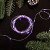 Northlight 100ct Purple LED Micro Fairy Lights - 20ft  Copper Wire Image 1