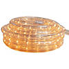 Northlight 100ft Clear Incandescent Outdoor Christmas Rope Lights Image 1