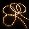 Northlight 100ft Clear Incandescent Outdoor Christmas Rope Lights Image 2