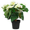 Northlight 11" cream potted silk begonia spring artificial floral arrangement Image 1