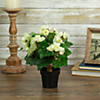 Northlight 11" cream potted silk begonia spring artificial floral arrangement Image 1