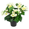 Northlight 11" cream potted silk begonia spring artificial floral arrangement Image 2