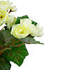 Northlight 11" cream potted silk begonia spring artificial floral arrangement Image 3