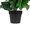 Northlight 11" cream potted silk begonia spring artificial floral arrangement Image 4