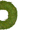 Northlight 13.7" reindeer moss artificial floral spring wreath - unlit Image 1