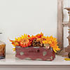 Northlight 14" Autumn Harvest Maple Leaf and Berry Arrangement in Rustic Wooden Box Centerpiece Image 1