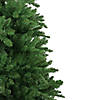 Northlight 14' Slim Eastern Pine Artificial Christmas Tree - Unlit Image 3