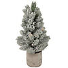 Northlight 16" LED Lighted Mini Frosted Pine Christmas Tree in Cement Base Image 1