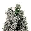 Northlight 16" LED Lighted Mini Frosted Pine Christmas Tree in Cement Base Image 2