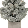 Northlight 16" LED Lighted Mini Frosted Pine Christmas Tree in Cement Base Image 4