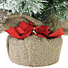 Northlight 18" Flocked Pine Medium Artificial Christmas Tree in Burlap Base - Unlit Image 4