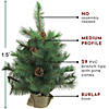 Northlight 18" Medium Royal Oregon Pine Burlap Base Artificial Christmas Tree - Unlit Image 2
