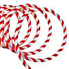 Northlight 18' Red and White Striped Candy Cane Christmas Rope Light Image 1