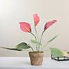 Northlight - 19" Pink and Green Decorative Calla Lily Artificial Plant Image 1