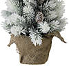 Northlight 19" Potted Slim Flocked Mini Pine Artificial Christmas Tree in Burlap Base - Unlit Image 3
