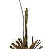 Northlight 2.5' Green and Brown Warsaw Twig Artificial Christmas Tree with Burlap Base - Unlit Image 3