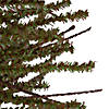 Northlight 2.5' Green and Brown Warsaw Twig Artificial Christmas Tree with Burlap Base - Unlit Image 4