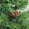 Northlight 2' Full Dakota Pine Artificial Christmas Tree - Unlit Image 1