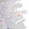 Northlight 2' Lighted Woodbury White Pine Slim Artificial Christmas Tree  Multi Lights Image 1