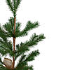 Northlight 2' Ponderosa Pine Artificial Christmas Tree Jute Base Decoration - Unlit Image 2