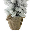Northlight - 2' Potted Flocked Mini Pine Slim Christmas Tree with Berries - Unlit Image 3