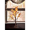 Northlight - 2' Pre-Lit LED Brown Maple Artificial Christmas Tree- Clear Lights Image 3