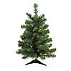 Northlight 2' Pre-Lit Medium Canadian Pine Artificial Christmas Tree - Clear Lights Image 1