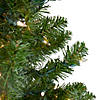 Northlight 2' Pre-Lit Medium Canadian Pine Artificial Christmas Tree - Clear Lights Image 1