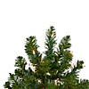 Northlight 2' Pre-Lit Medium Canadian Pine Artificial Christmas Tree - Clear Lights Image 3