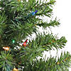 Northlight 2' Pre-Lit Medium Canadian Pine Artificial Christmas Tree  Multi Lights Image 1