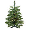 Northlight 2' Pre-Lit Medium Canadian Pine Artificial Christmas Tree - Warm Clear Lights Image 1