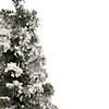 Northlight 2' Pre-Lit Medium Flocked Bristol Pine Artificial Christmas Tree - Warm Clear LED Lights Image 2