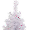Northlight 2' Pre-lit Rockport White Pine Artificial Christmas Tree  Pink Lights Image 1