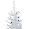 Northlight 2' Pre-Lit Woodbury White Pine Slim Artificial Christmas Tree  Blue Lights Image 1