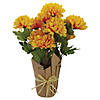 Northlight 20" Yellow Fall Harvest Artificial Mum Plant in a Pot Image 1