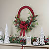 Northlight 24" Buffalo Plaid and Berry Artificial Christmas Wreath - Unlit Image 1