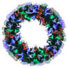 Northlight 24" Multi-Function Coloring Changing Fiber Optic Artificial Pine Christmas Wreath Image 1