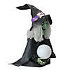 Northlight 26" Pre-Lit Black and Green Sitting Fortune Witch with Magic Ball Halloween Decor Image 1