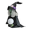 Northlight 26" Pre-Lit Black and Green Sitting Fortune Witch with Magic Ball Halloween Decor Image 2