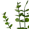Northlight 27" Green Artificial Eucalyptus Spray Image 2