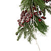 Northlight 28" Frosted Red Berries and Pine Cones Artificial Christmas Teardrop Swag Image 2